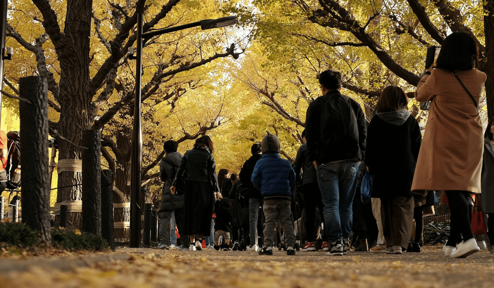 Les feuillages d’automne autour de Tokyo
