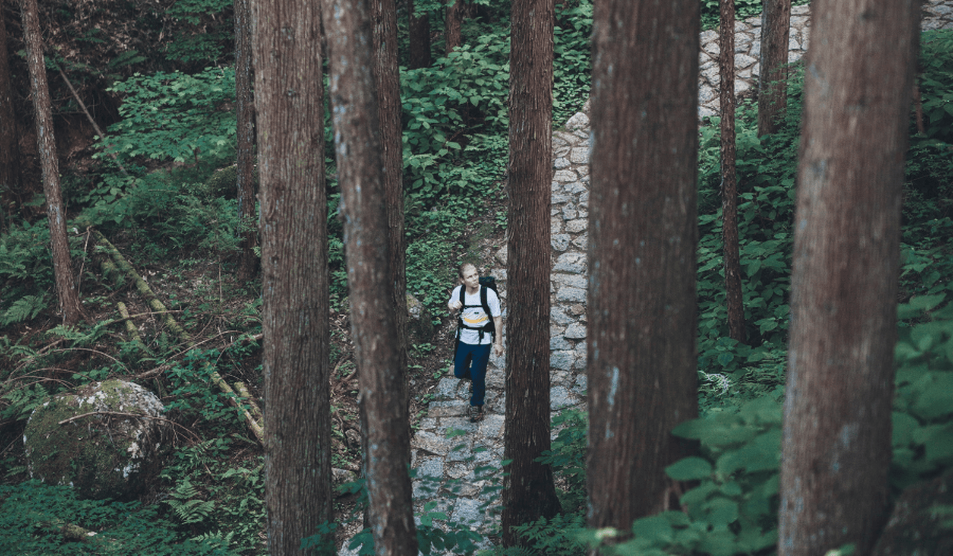 Le chemin de Nakasendo : un itinéraire historique entre Kyoto et Tokyo