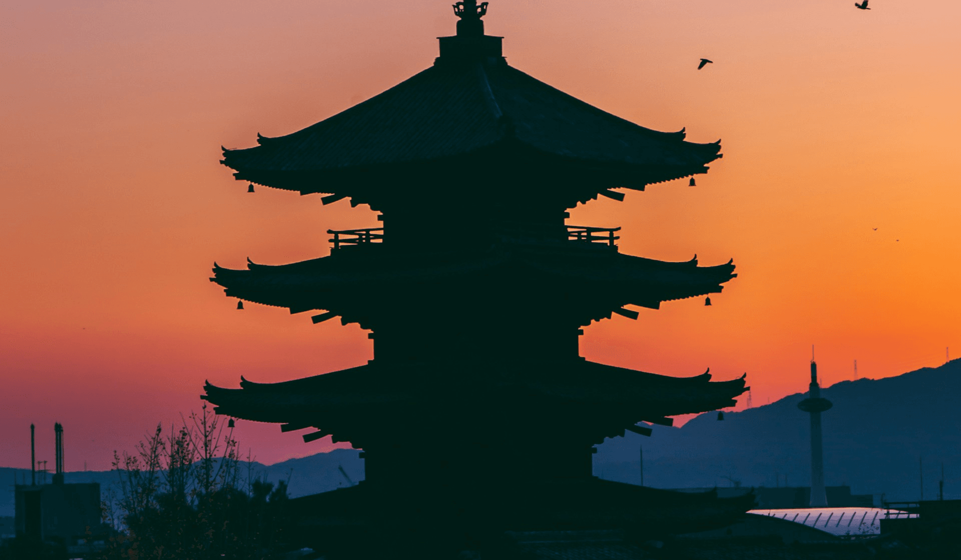 Les endroits préférés de nos spécialistes du voyage au Japon