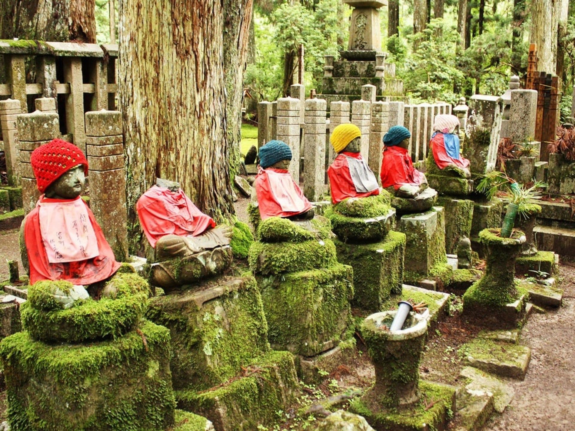 Visite du cimetière Okunoin