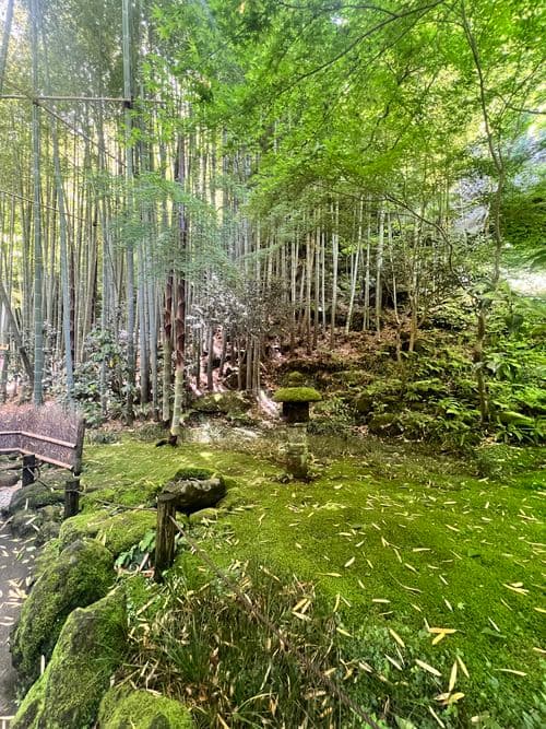 Hokokuji temple 4