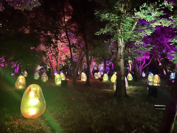 TeamLab Botanicals 4
