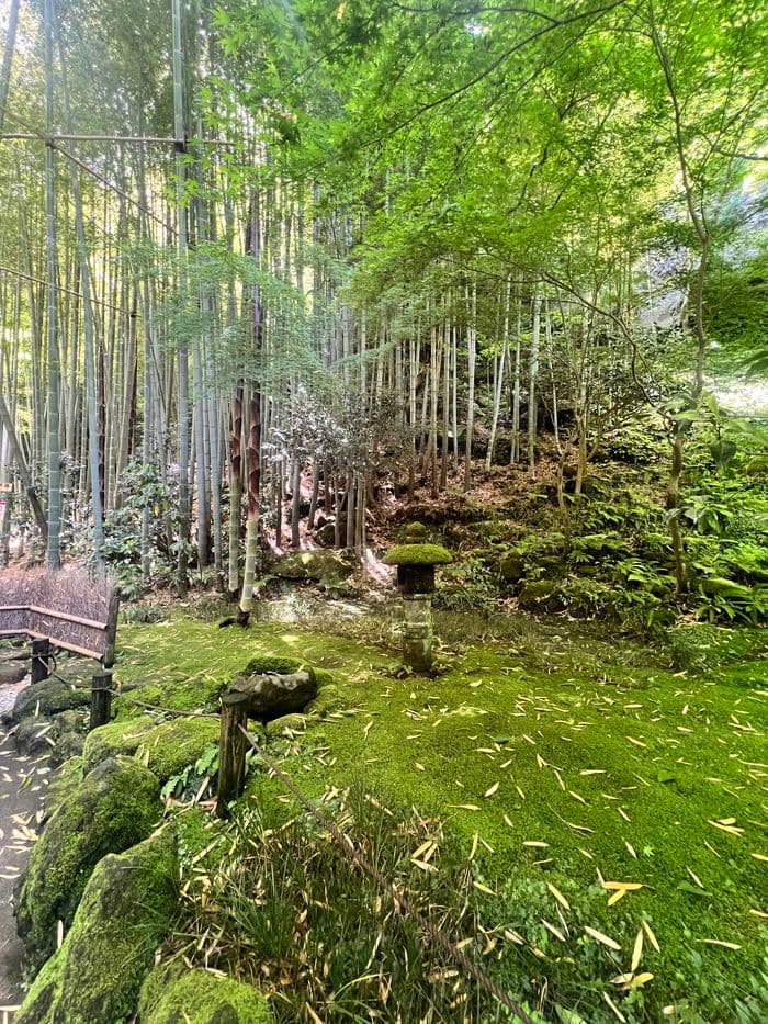 Hokokuji temple 4