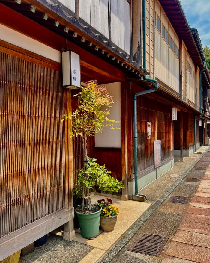 Higashi Chaya district 2
