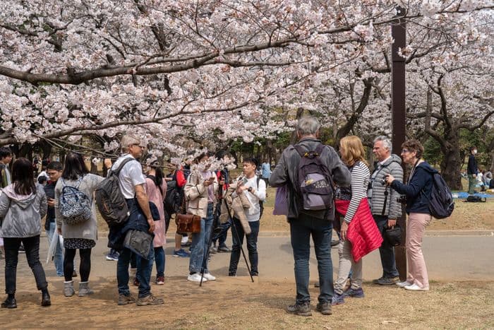 Yoyogi park
