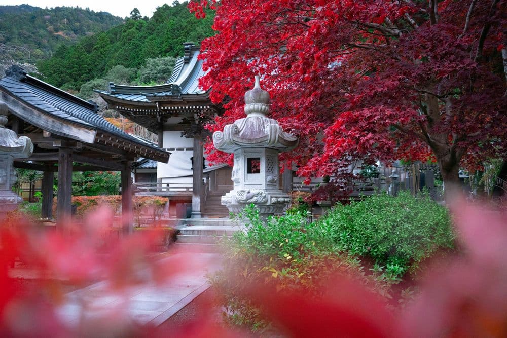 JAP_BLOG_10.25_UNSPLASH (FR)