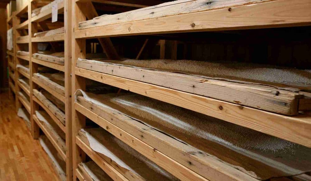 production-de-sake-japon