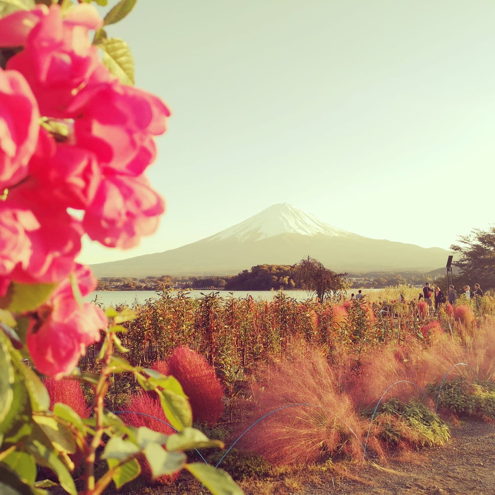 Mount Fuji