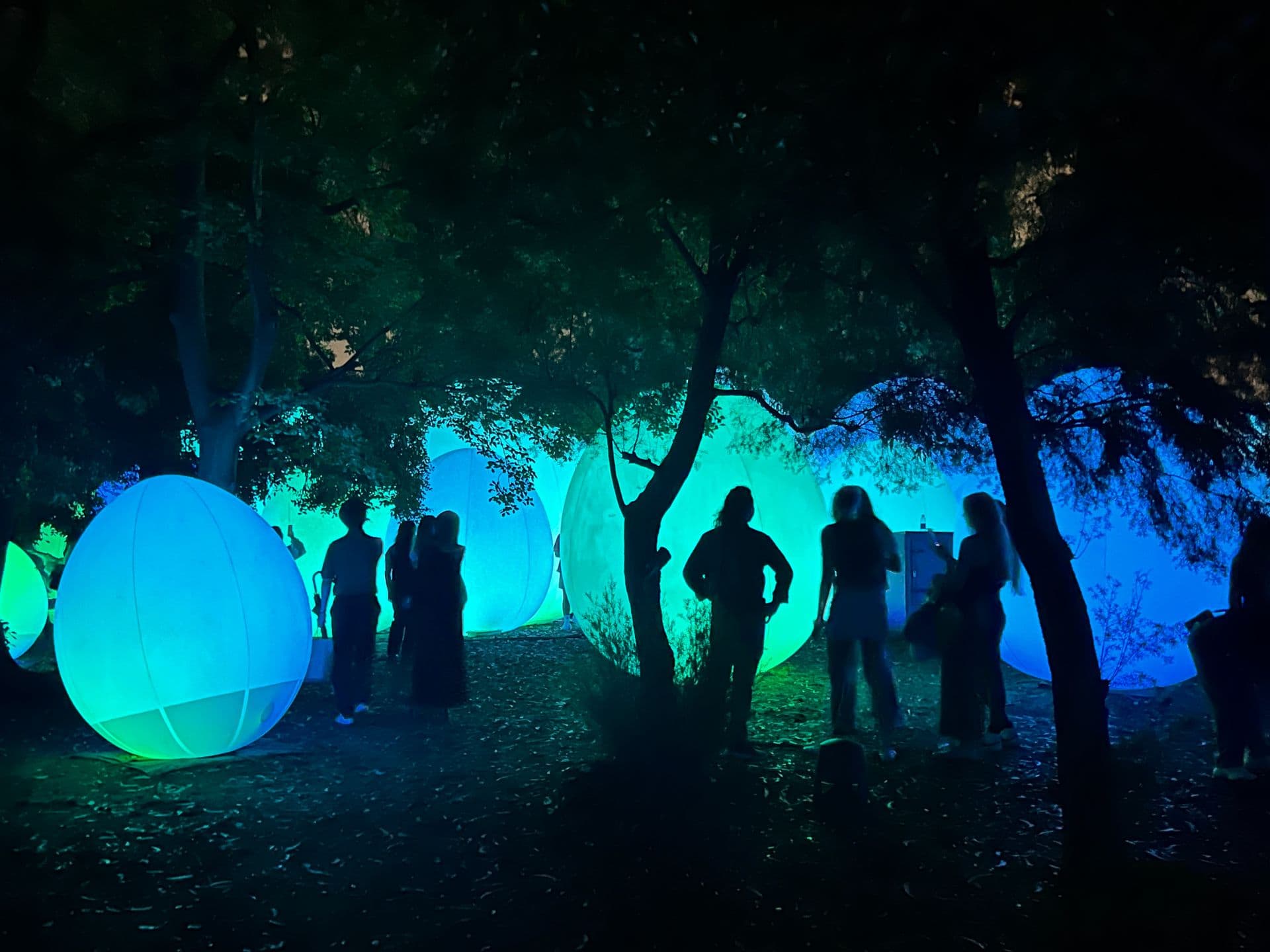TeamLab Botanicals 1