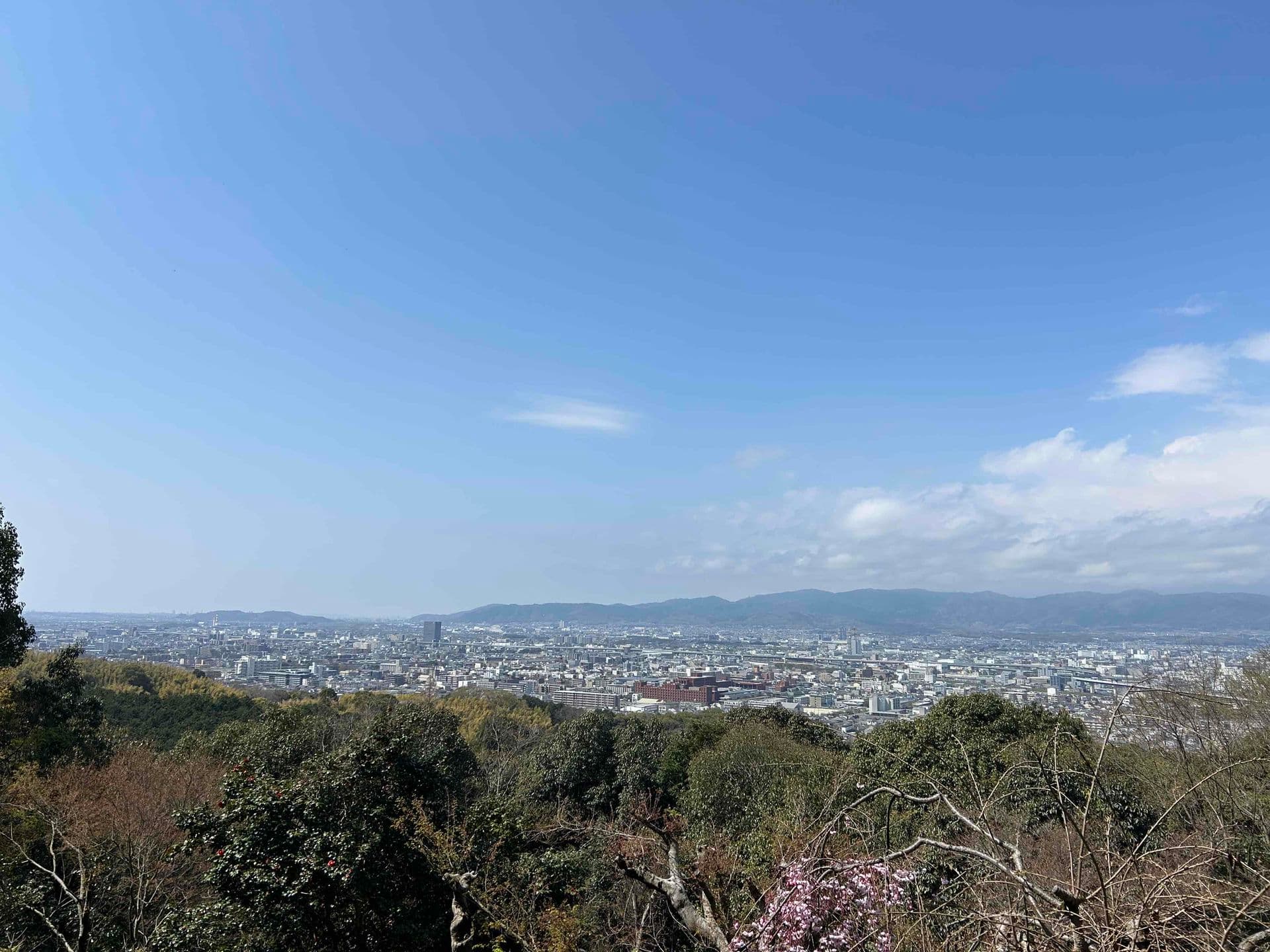 View from the top of Fushimi Inari