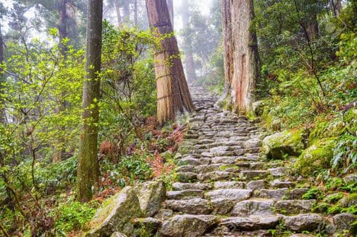 Kumano Kodo path stairs