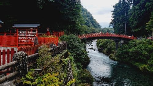 Shinkyo