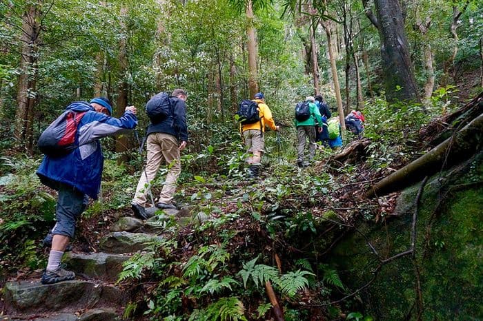 marche kumano kodo