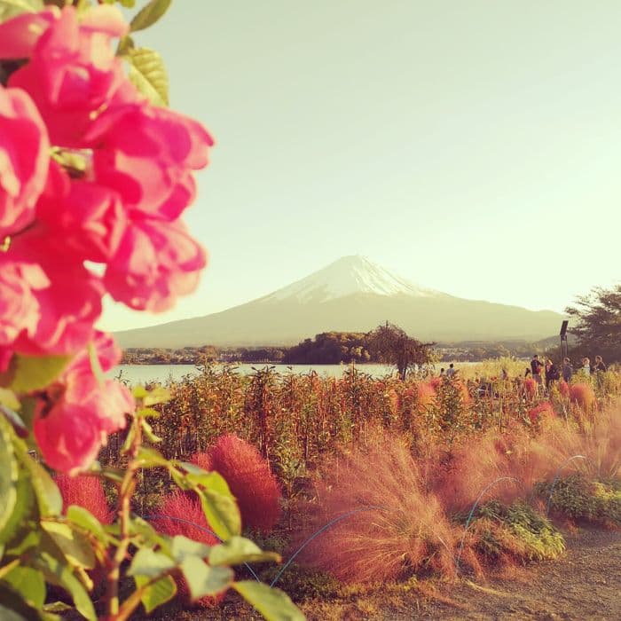 Mount Fuji