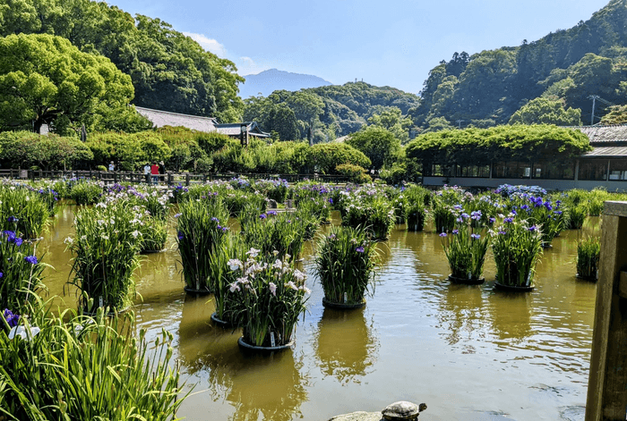 dazaifu tenmagu garden 2