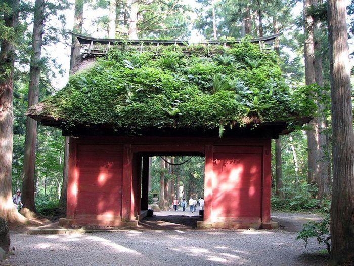 Gate Togakushi shrine