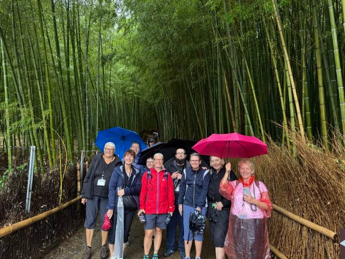 Arashiyama und der Bambuswald