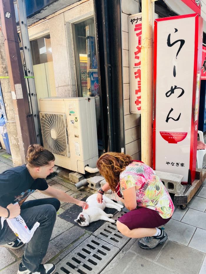 Un chat de beppu