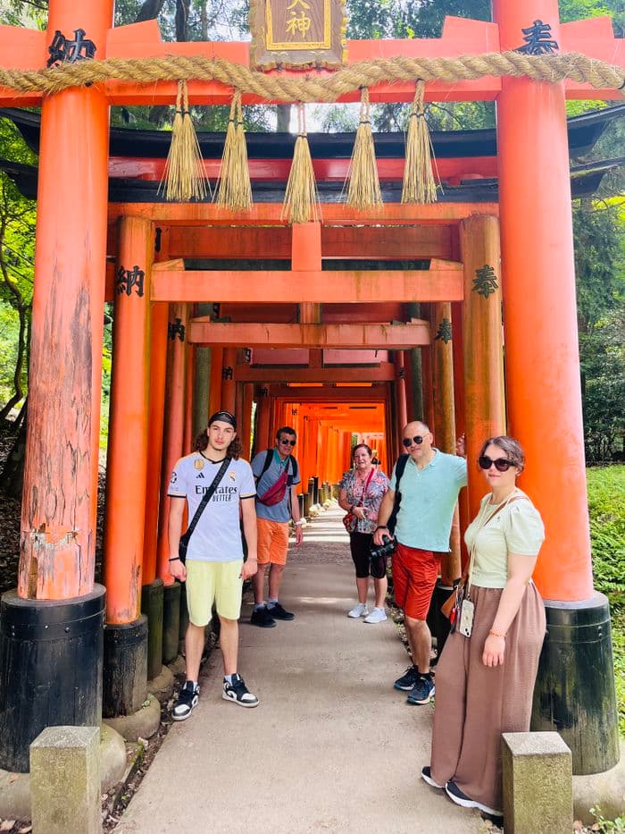 Beaucoup de torii