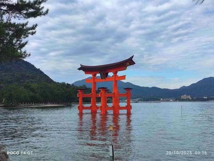 Torii