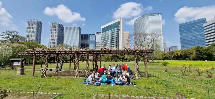 Picnic in tokyo