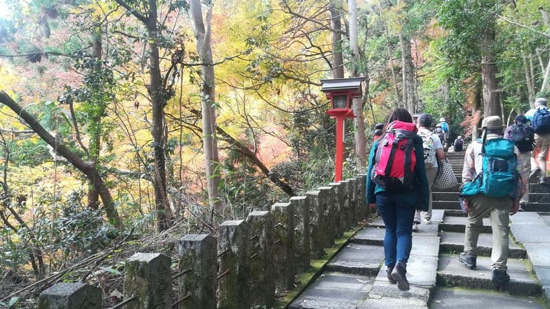 Koyo in Kyoto