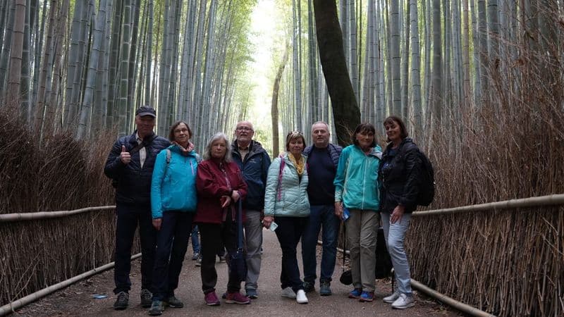 Bambuswald in Arashiyama
