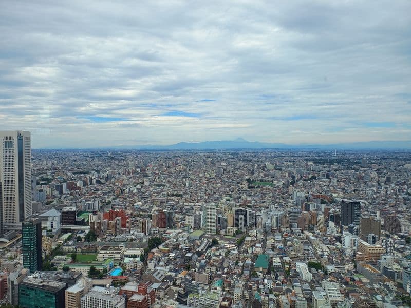 Tokyo Ausblick