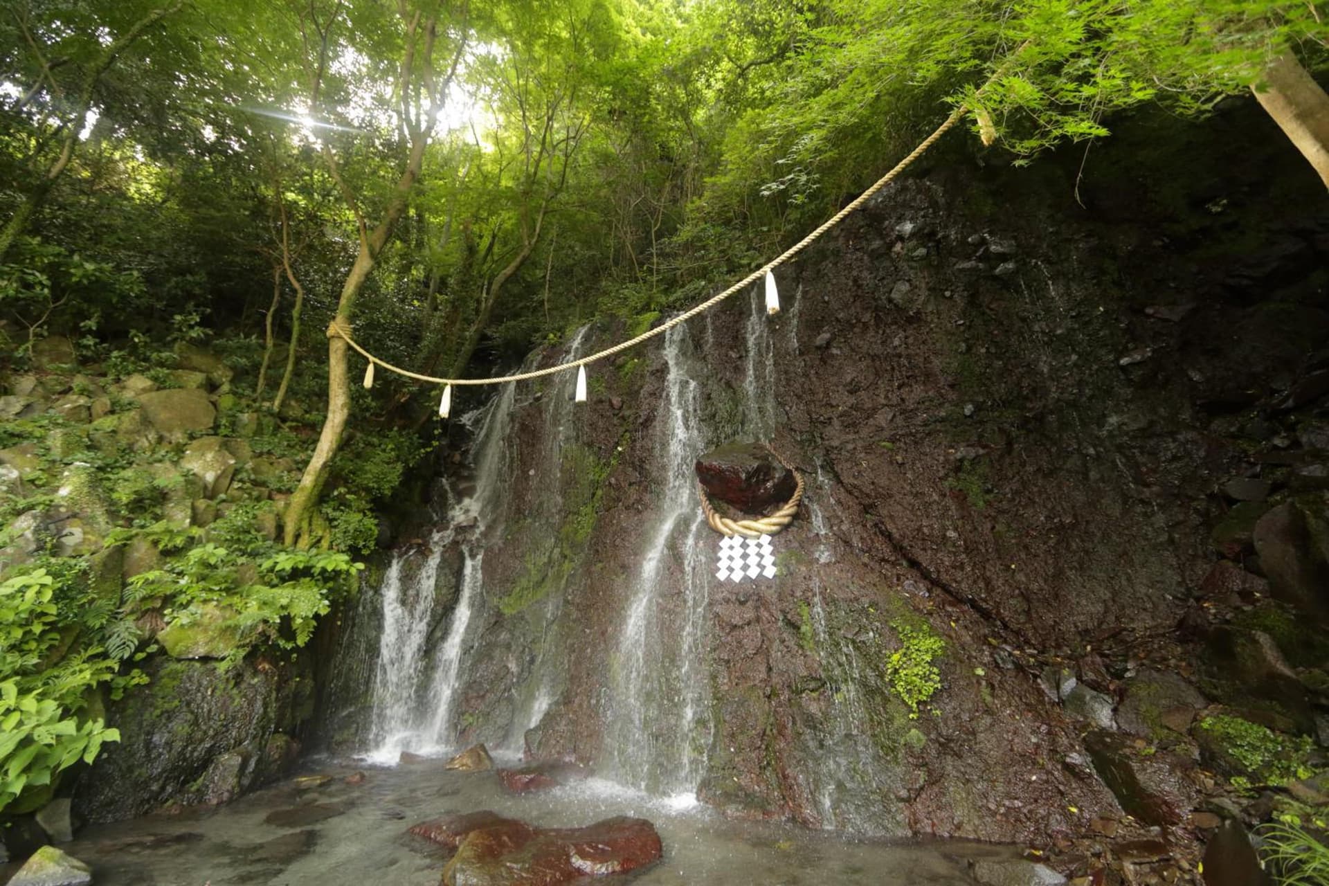 Tenseien